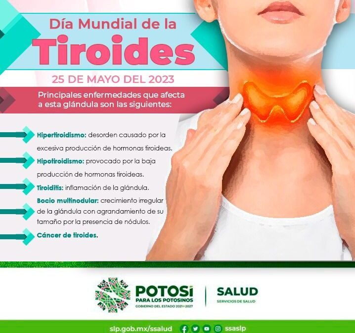 MPORTANTE CUIDAR LA TIROIDES Y CONOCER EL IMPACTO A LA SALUD