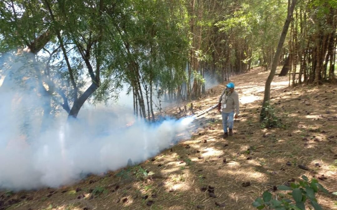 GOBIERNO ESTATAL INTENSIFICA ACCIONES PREVENTIVAS CONTRA DENGUE