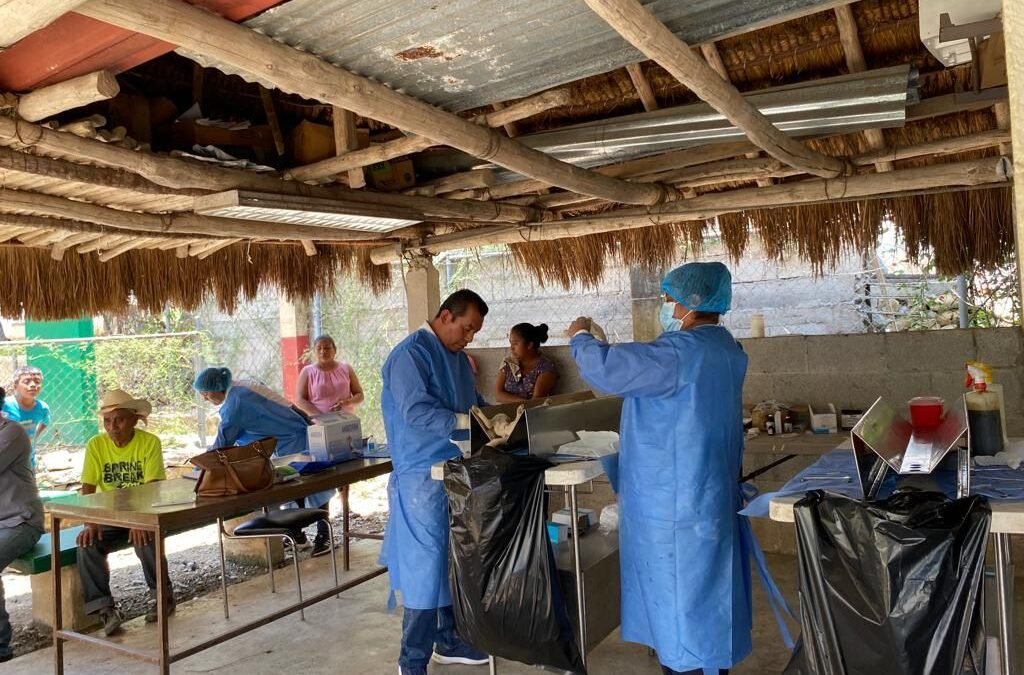 APOYO CON ESTERILIZACIONES GRATUITAS PARA UNA MEJOR SALUD ANIMAL.