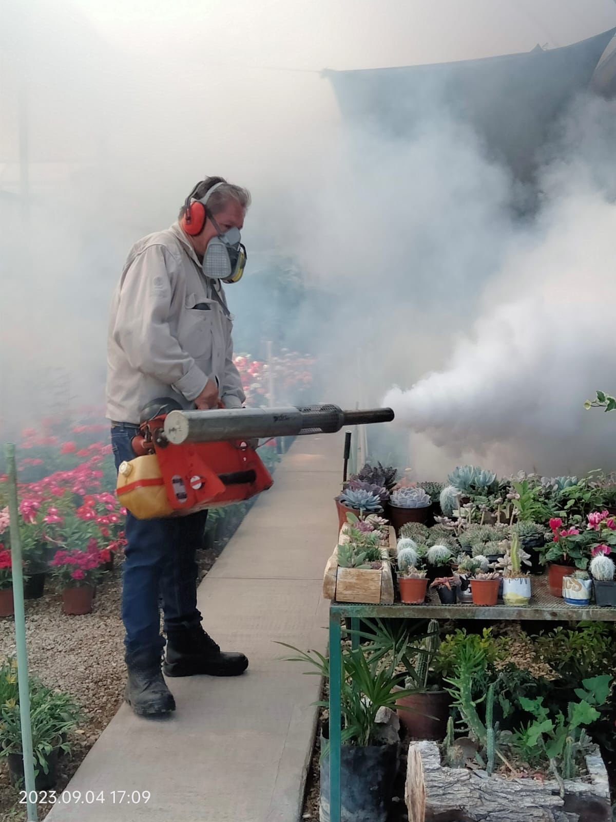 SALUD HACE UN LLAMADO PARA PREVENIR EL DENGUE EN EL ESTADO.