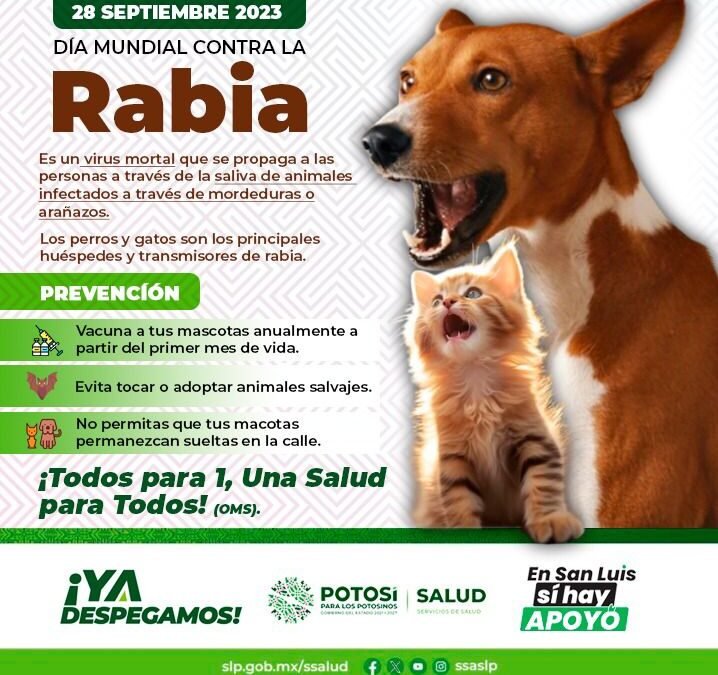 SLP, 19 AÑOS  SIN RABIA EN HUMANOS.