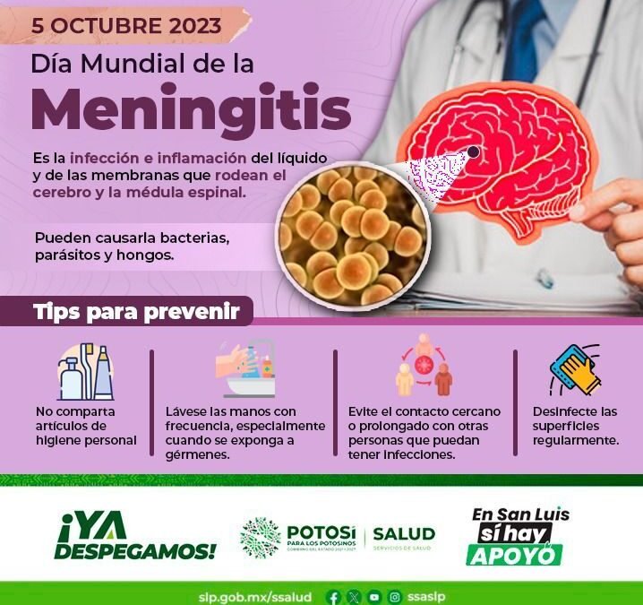 SALUD ACCESIBLE PARA SAN LUIS: DÍA MUNDIAL DE LA MENINGITIS