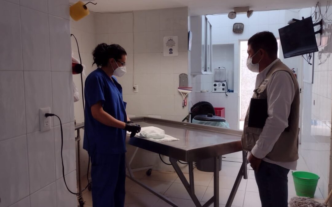 REVISA SALUD FUNERARIAS Y SERVICIOS DE CREMACIÓN EN EL ESTADO