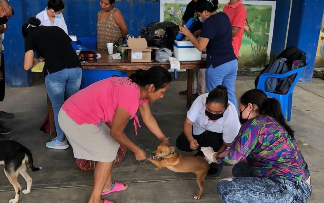 ESTE DOMINGO INICIA VACUNACIÓN ANTIRRÁBICA PARA PERROS Y GATOS