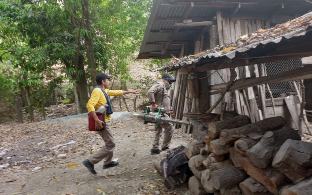 MANTIENEN SALUD  Y AYUNTAMIENTOS ACCIONES CONTRA EL DENGUE