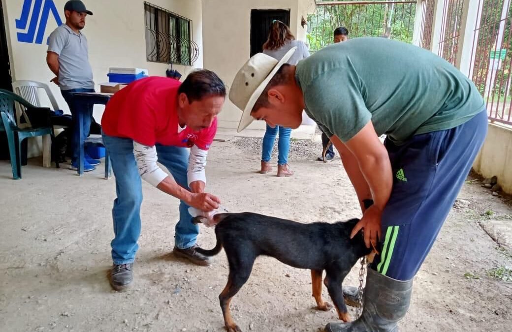 DÍA MUNDIAL DE LAS ZOONOSIS, NECESARIO PREVENIR Y CONTROLAR LAS  ENFERMEDADES EN LOS ANIMALES.