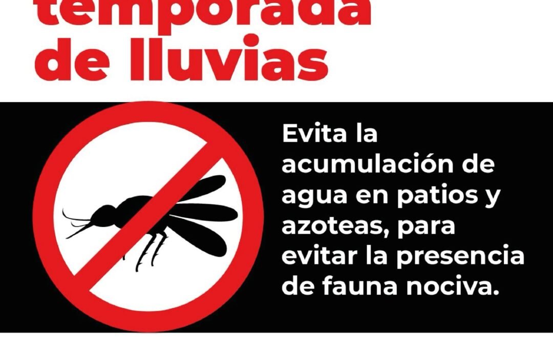 GOBIERNO ESTATAL EMITE MEDIDAS SANITARIAS POR PLAGA DE MOSCAS