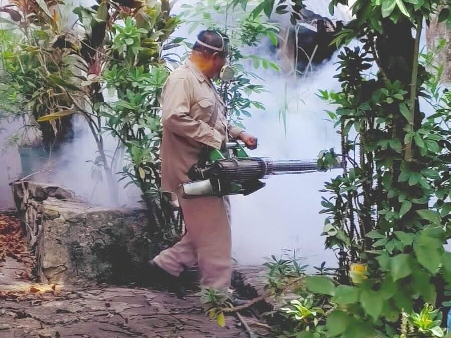 ARRANCA 2ª JORNADA NACIONAL DE LUCHA CONTRA EL DENGUE 2024