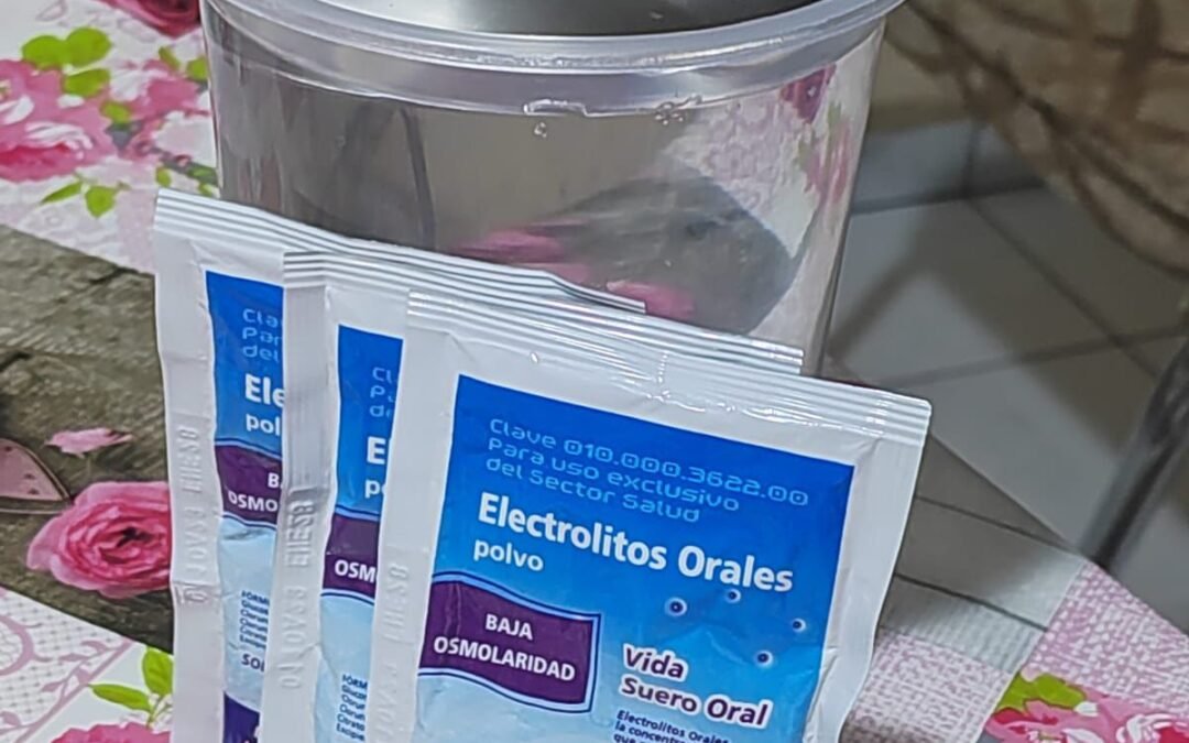 PREVENIR ENFERMEDADES DIARREICAS CON HIGIENE PERSONAL Y EN ELABORACIÓN DE ALIMENTOS