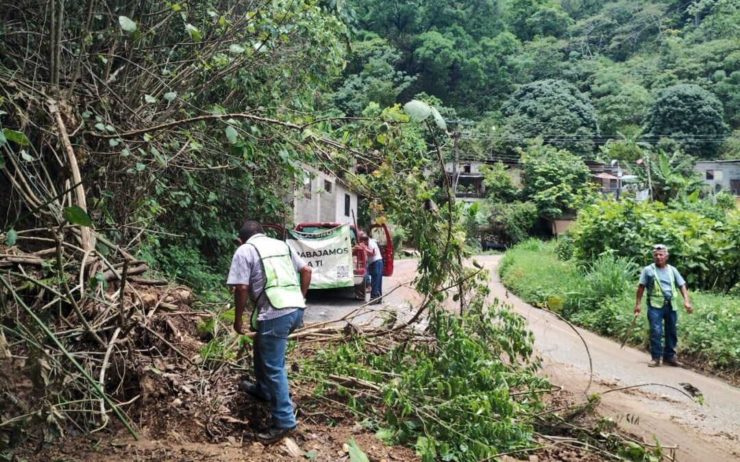 GOBIERNO ESTATAL Y AYUNTAMIENTOS GARANTIZAN LA MOVILIDAD EN EL ESTADO