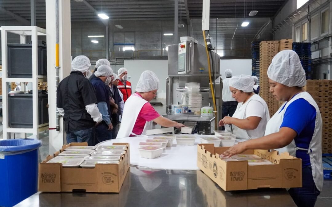 AVANZA CON ÉXITO CICLO DE PRODUCCIÓN 2024 DE INVERNADEROS SANTA RITA