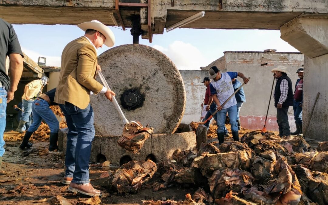 ESPECIALISTAS VITIVINÍCOLAS EXPLORAN LA ESENCIA DEL MEZCAL POTOSINO