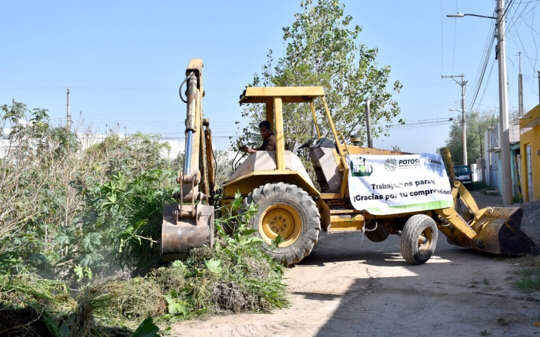 POTOSINOS Y POTOSINAS, LOS MAS CHAMBEADORES DEL PAÍS: INEGI