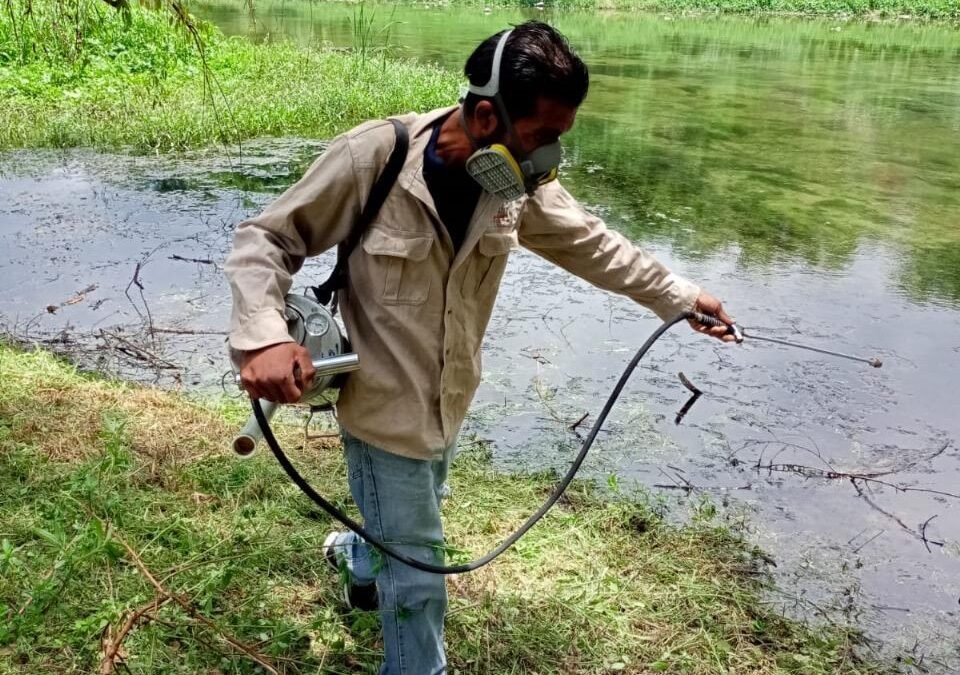 GOBIERNO ESTATAL REFUERZA ACCIONES DE PREVENCIÓN Y COMBATE DEL DENGUE