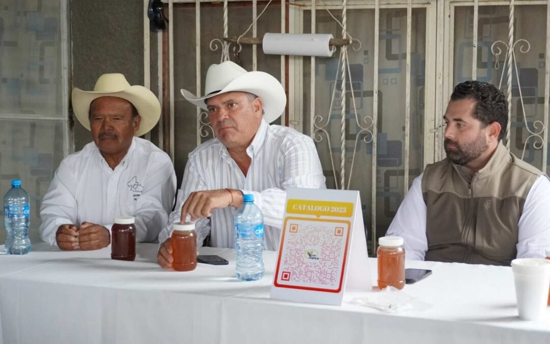 APICULTORES DE LA REGIÓN MEDIA RECIBEN MÁS APOYO DEL ESTADO