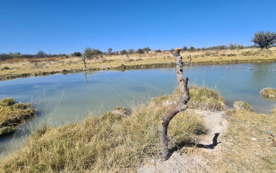 GOBIERNO ESTATAL FOMENTA EL CUIDADO DEL MEDIO AMBIENTE