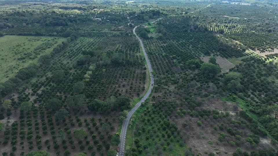 RICARDO GALLARDO LLEVA MÁS MOVILIDAD A TAMPACÁN