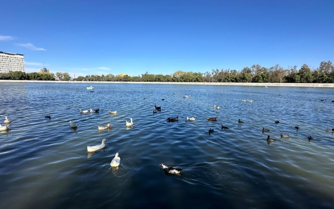 PARQUES TANGAMANGA: ESPACIOS SEGUROS PARA LA FAUNA SILVESTRE Y MIGRATORIA