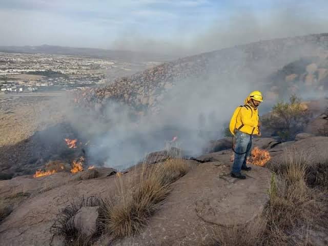 GOBIERNO ESTATAL APRUEBA PLAN ANTIINCENDIOS 2025