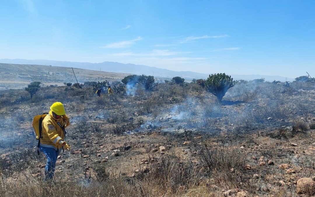 EL ESTADO EN VIGILANCIA PERMANENTE POR TEMPORADA DE INCENDIOS FORESTALES