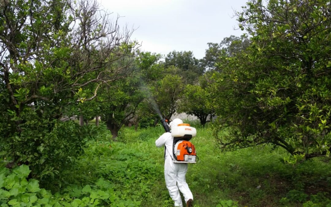 GOBIERNO ESTATAL COMBATE PLAGAS EN APOYO A PRODUCTORES DEL CAMPO