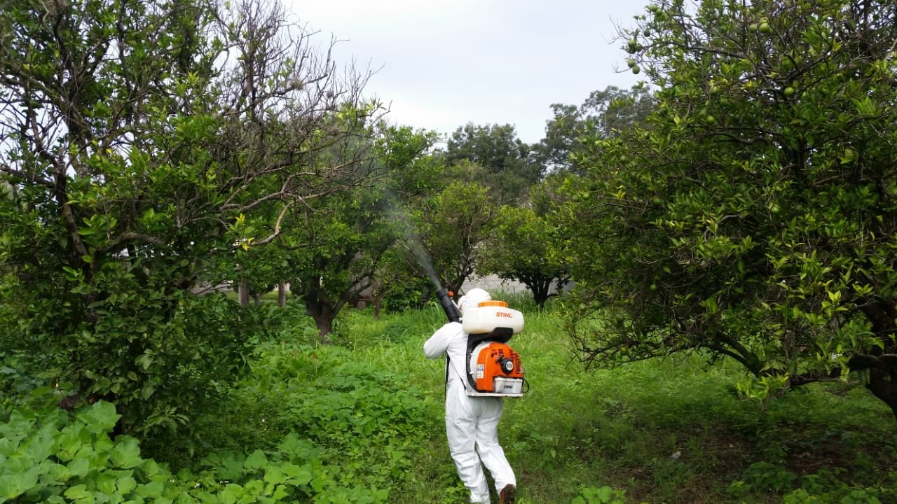 GOBIERNO ESTATAL COMBATE PLAGAS EN APOYO A PRODUCTORES DEL CAMPO