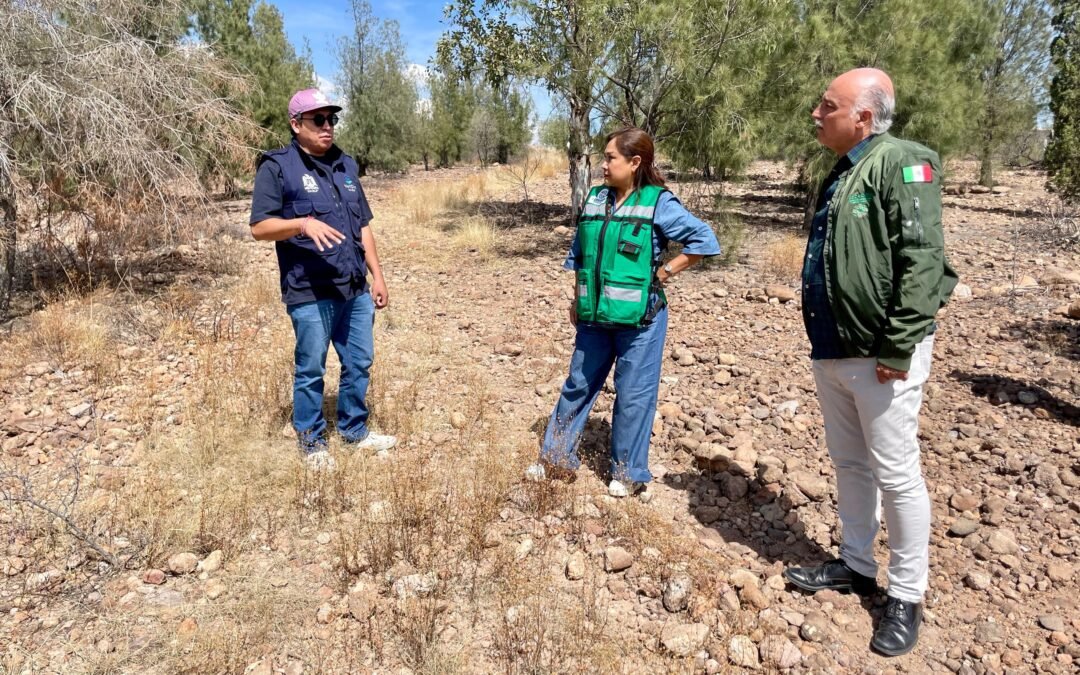 EJECUTIVO ESTATAL ARRANCARÁ PROGRAMA SEMBRANDO VIDA EN EL DESIERTO