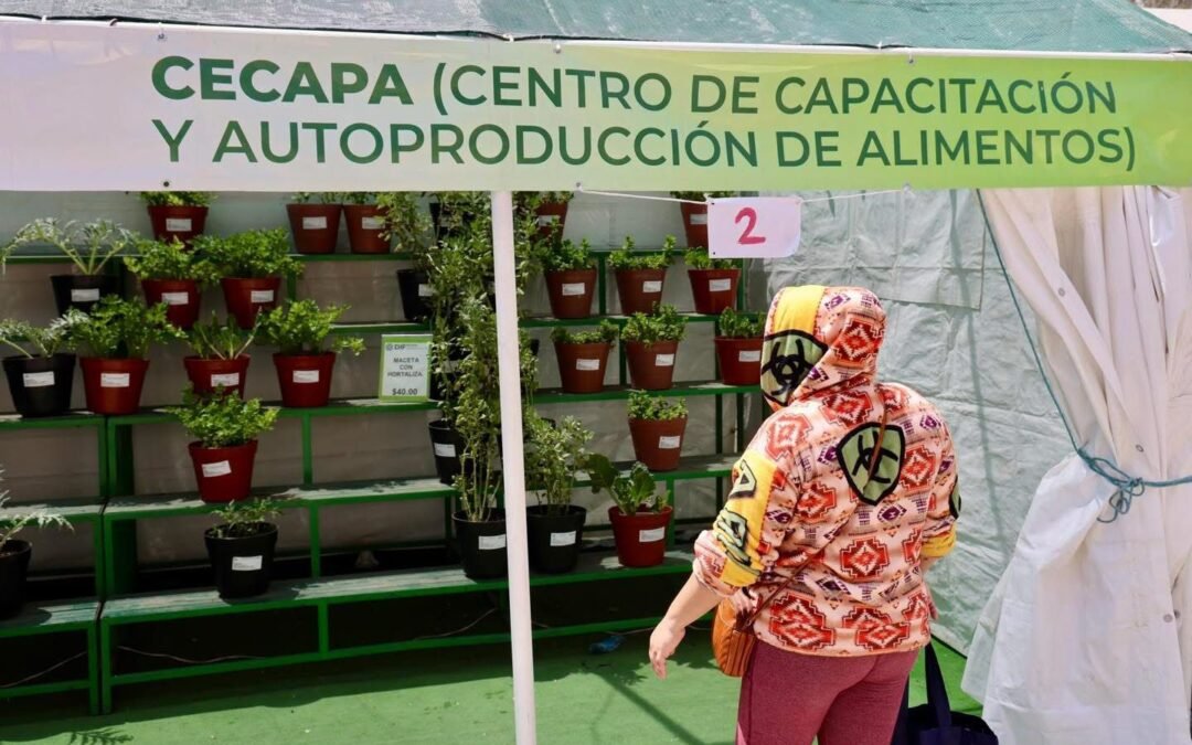 GOBIERNO ESTATAL BRINDA ASESORÍA Y APOYO A FAMILIAS PARA PRODUCCIÓN DE ALIMENTOS