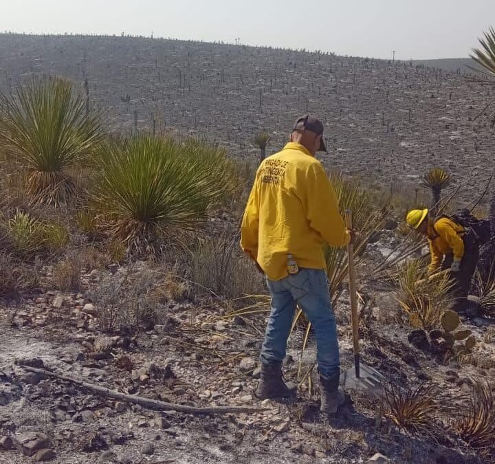 GOBIERNO DEL ESTADO CAPACITARÁ A COMBATIENTES FORESTALES