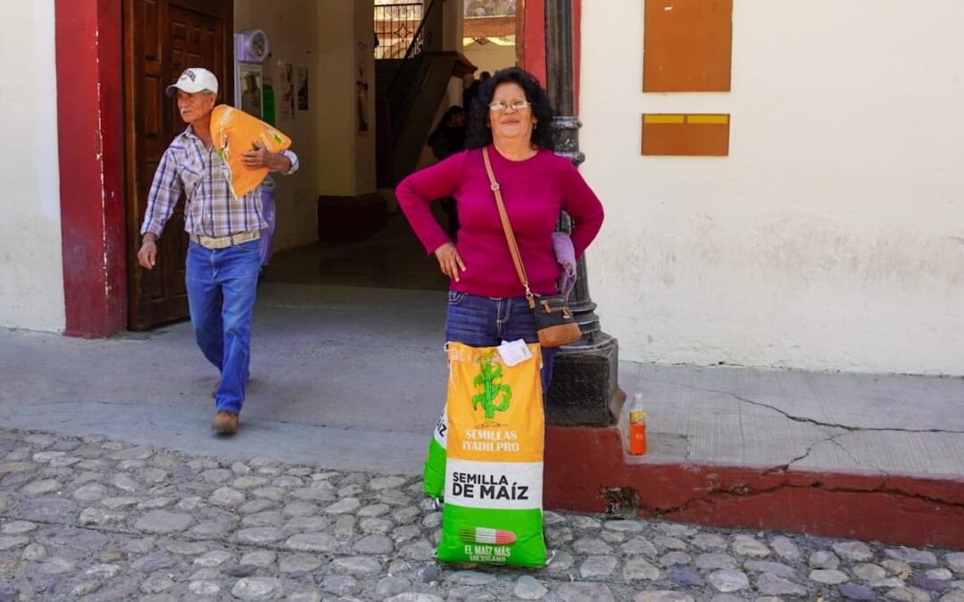 EL ESTADO AMPLÍA APOYO A LAS Y LOS POTOSINOS PARA CULTIVAR MAÍZ DE CALIDAD