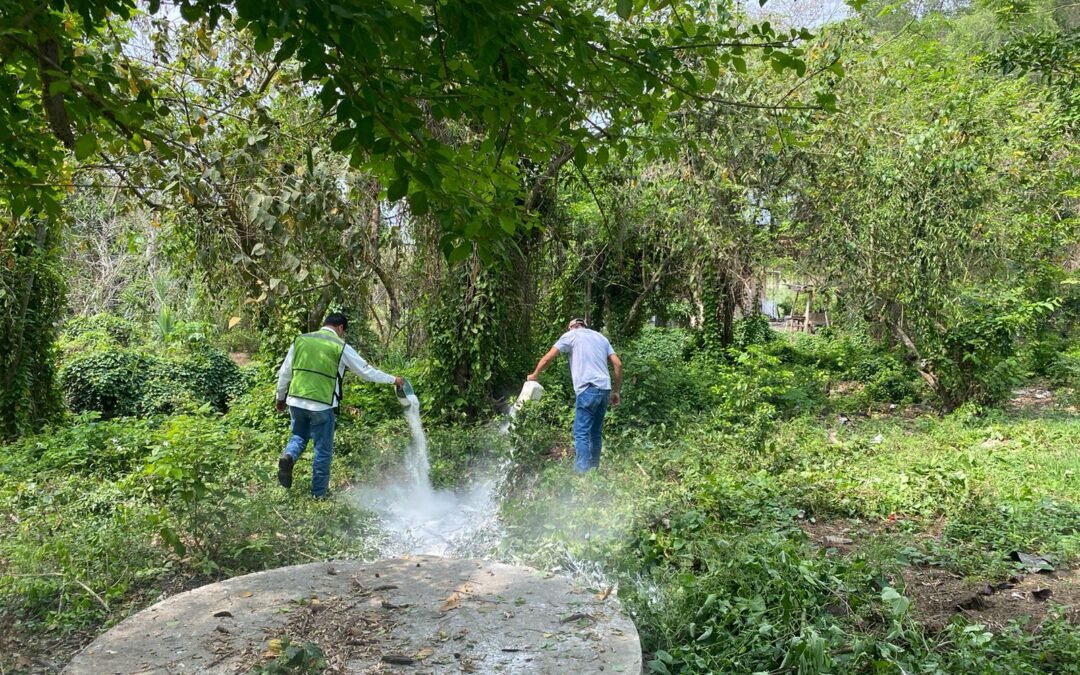 FORTALECE GOBIERNO ESTATAL PREVENCIÓN DE DENGUE, ZIKA Y CHIKUNGUNYA