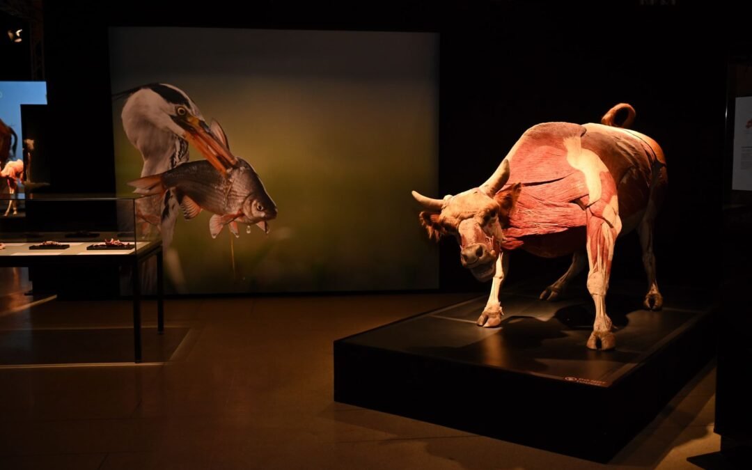 GOBIERNO ESTATAL INVITA A VIVIR UN FIN DE SEMANA DE CULTURA Y DIVERSIÓN 