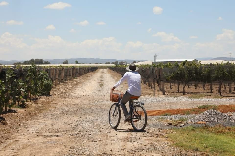 ¡PREPÁRATE PARA DISFRUTAR EL FESTIVAL INTERNACIONAL DEL VINO EN SLP!