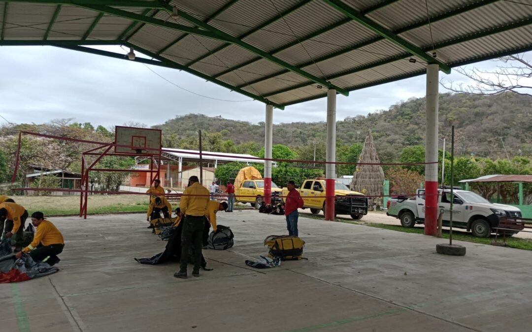 AVANZA CONTROL DE INCENDIOS FORESTALES