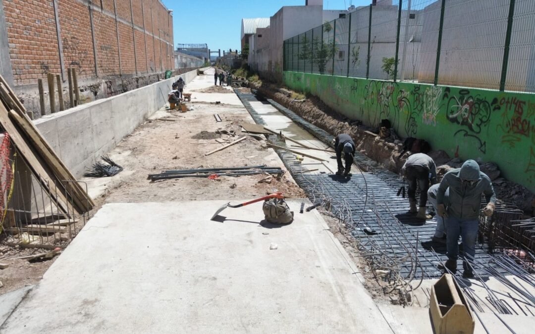 POR CONCLUIR COLECTOR DE CACTUS: SEDUVOP