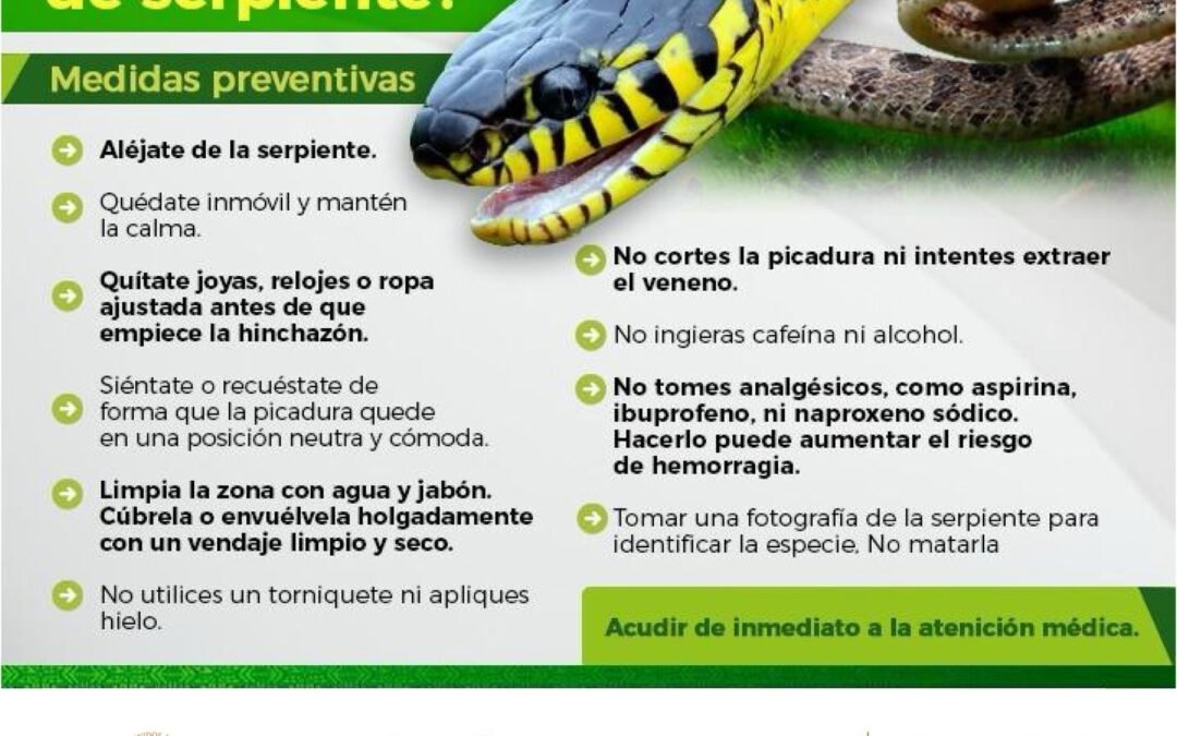 EN TEMPORADA DE CALOR  PREVENGA MORDEDURAS, PICADURAS O CONTACTO CON ANIMALES PONZOÑOSOS
