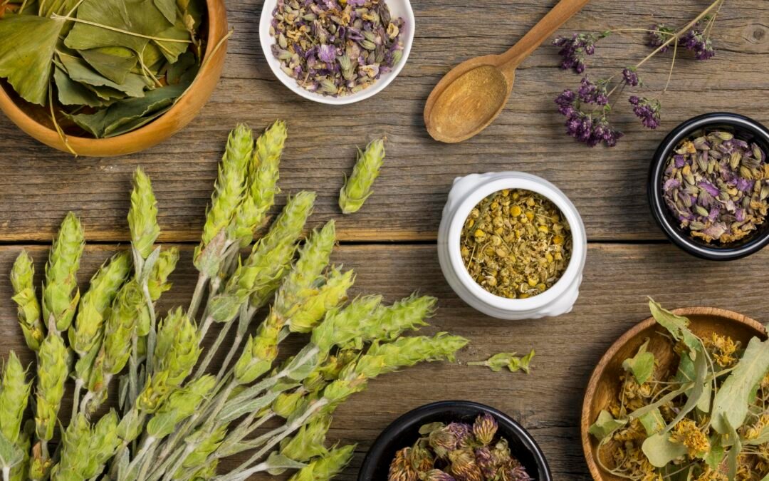 DÍA NACIONAL DE LA HERBOLARIA Y LA MEDICINA TRADICIONAL