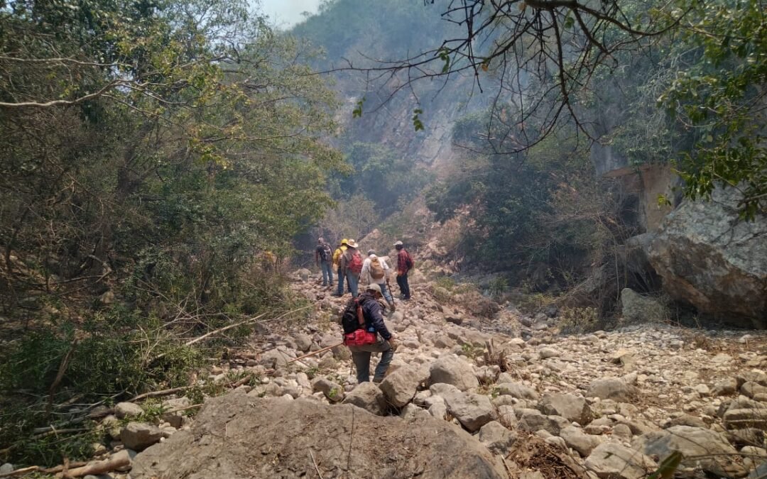 COMITÉ DEL MANEJO DEL FUEGO MANTIENE COMBATE DE INCENDIOS