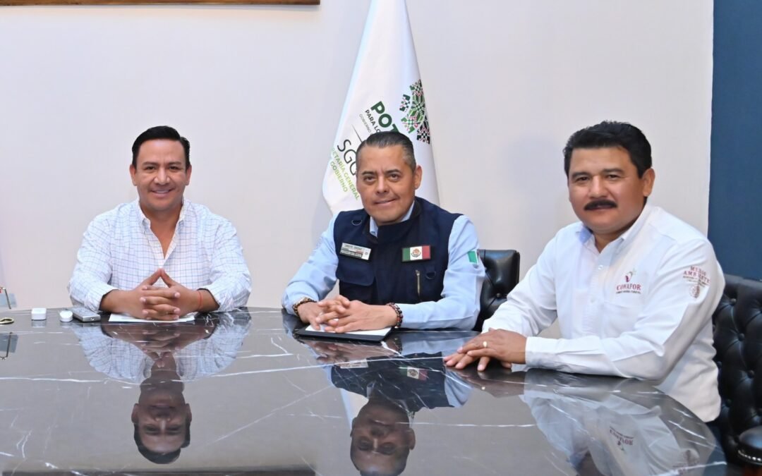 EL ESTADO PROPONE SANCIONES A QUIENES PROVOQUEN INCENDIOS