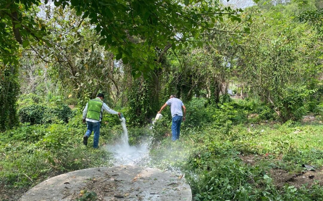 ANTE LA PRESENCIA DE LLUVIAS ES NECESARIO REFORZAR ACCIONES DE SANEAMIENTO BÁSICO EN EL HOGAR Y SITIOS PÚBLICOS.  ·