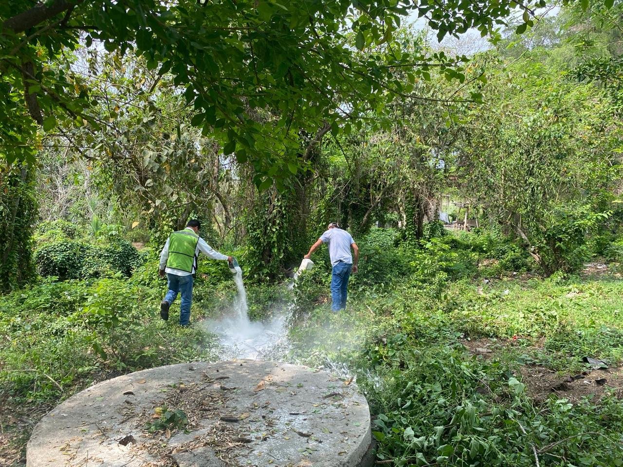 ANTE LA PRESENCIA DE LLUVIAS ES NECESARIO REFORZAR ACCIONES DE SANEAMIENTO BÁSICO EN EL HOGAR Y SITIOS PÚBLICOS.  ·