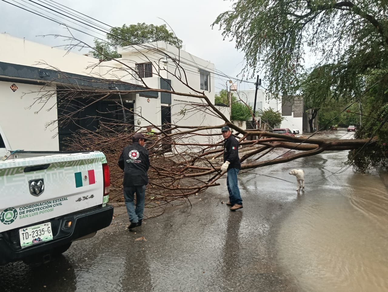 PROTECCIÓN CIVIL DEL ESTADO ATIENDE REPORTES DE LLUVIAS EN CIUDAD VALLES