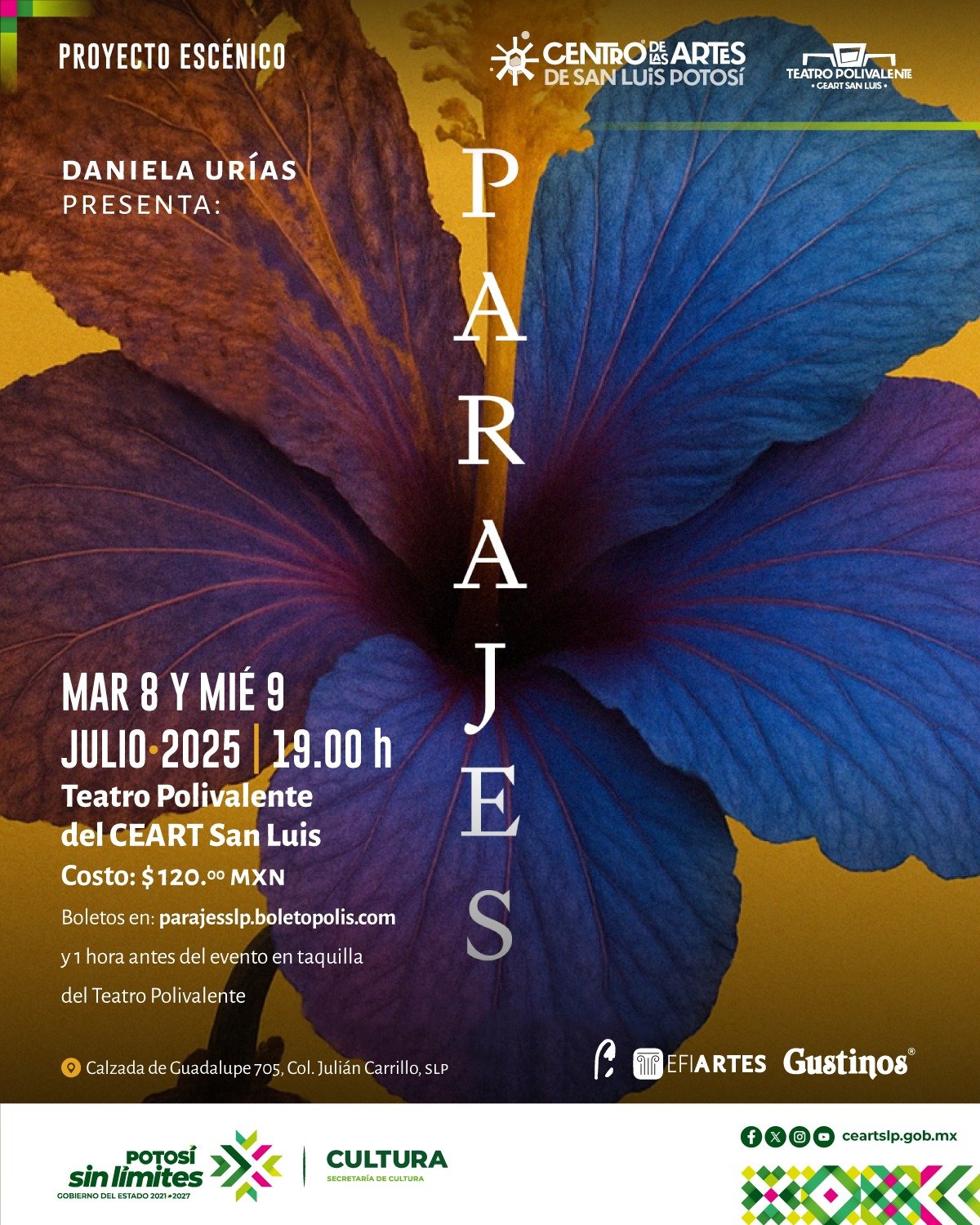 “PARAJES”: UNA EXPERIENCIA ESCÉNICA SOBRE LOS CICLOS DE LA VIDA Y LA MUERTE