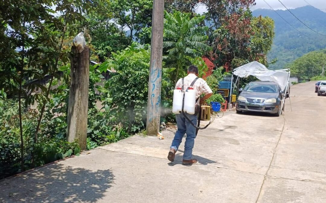 GOBIERNO DISMINUYE EL DENGUE EN SAN LUIS POTOSÍ