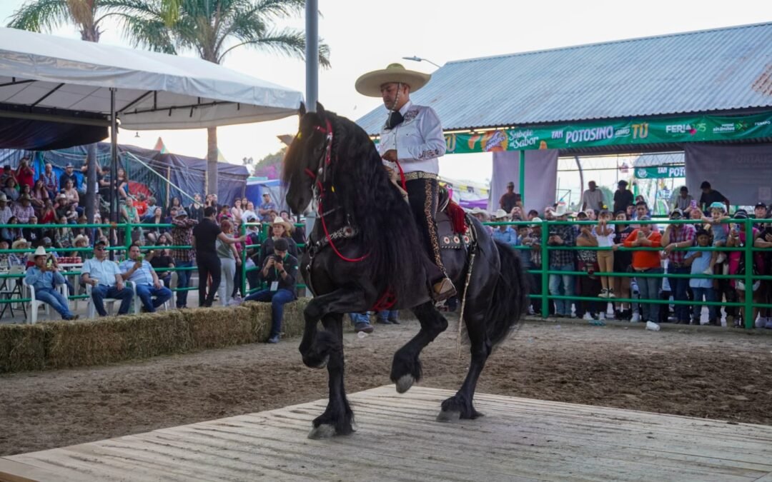 ROTUNDO ÉXITO DEL CAMPEONATO DE CABALLOS BAILADORES EN LA FENAPO