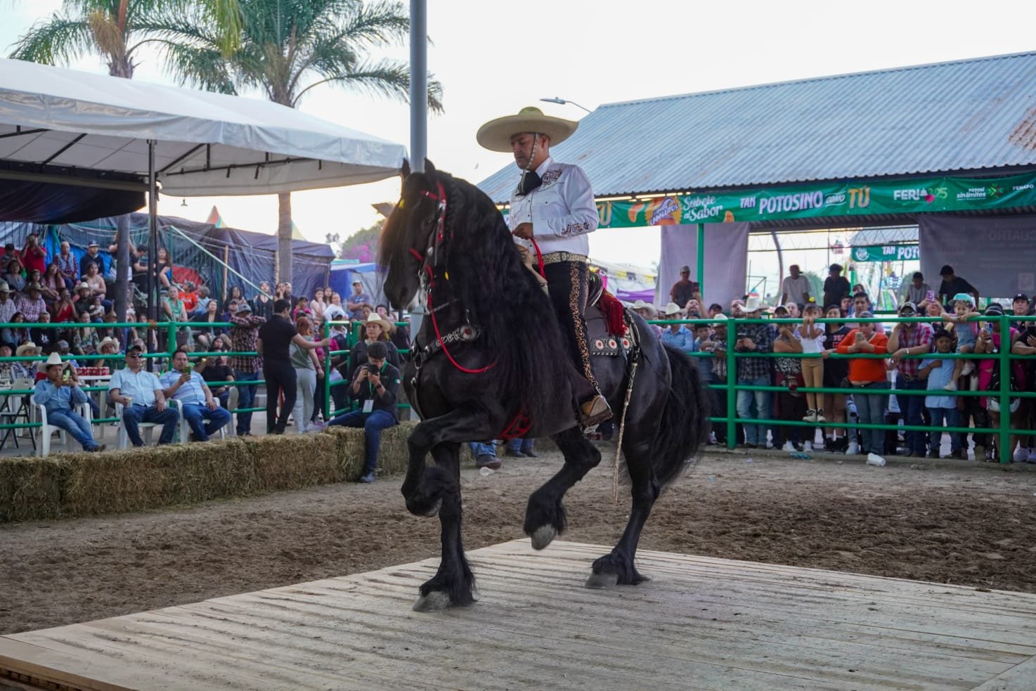 ROTUNDO ÉXITO DEL CAMPEONATO DE CABALLOS BAILADORES EN LA FENAPO