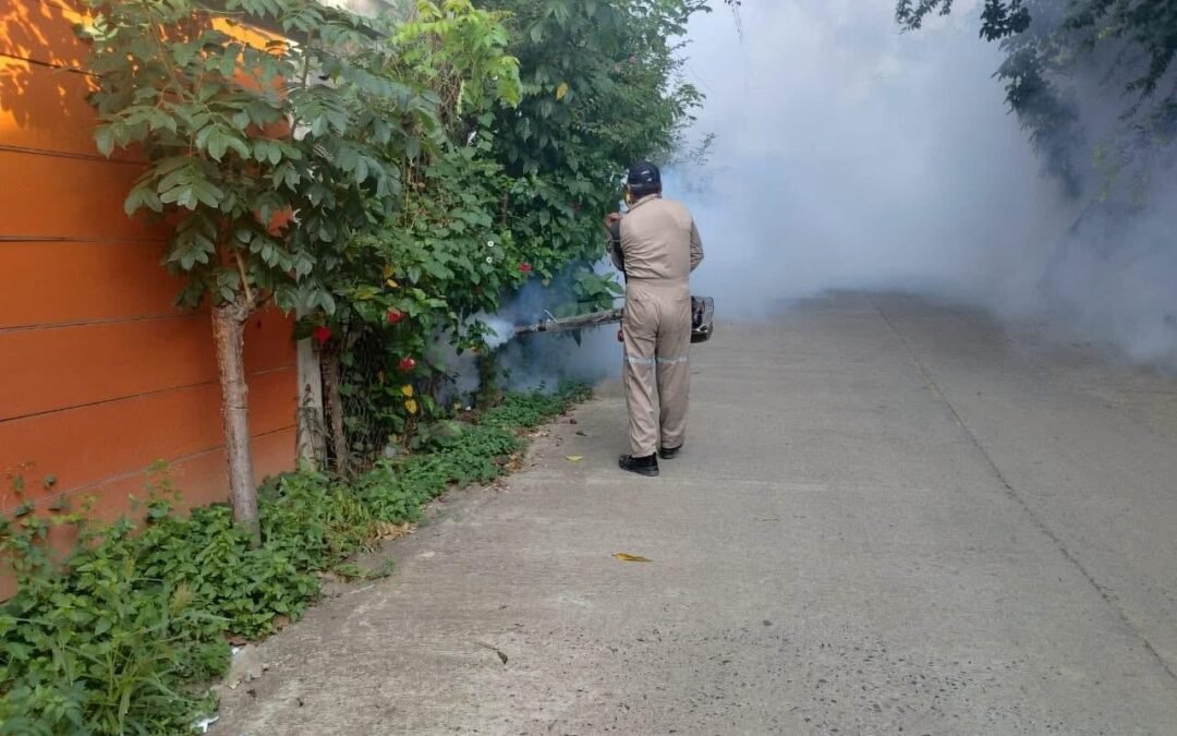 SAN LUIS POTOSÍ REDUCE CASOS DE DENGUE EN 2025