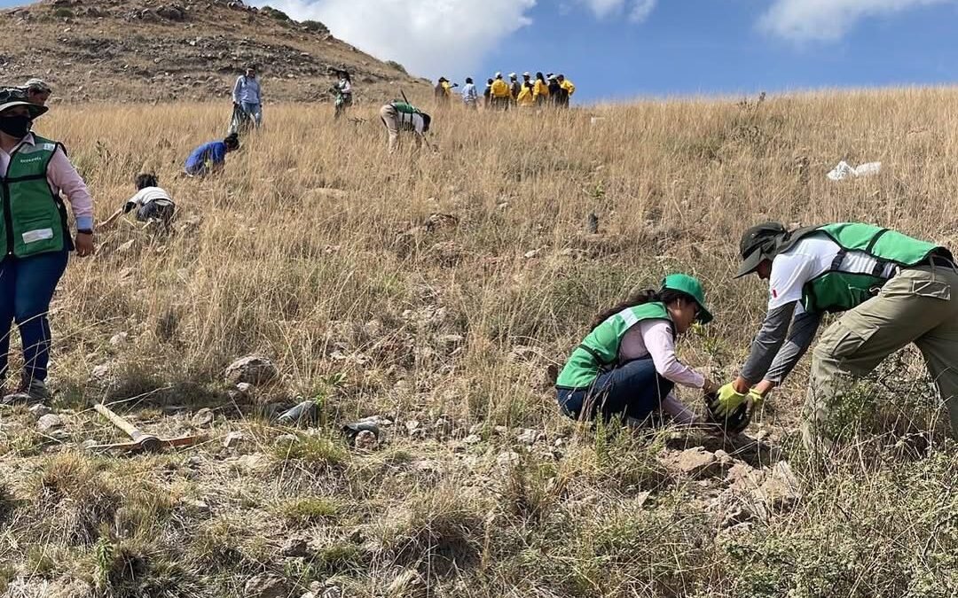 GOBIERNO ESTATAL PROMUEVE UN DESARROLLO RESPONSABLE