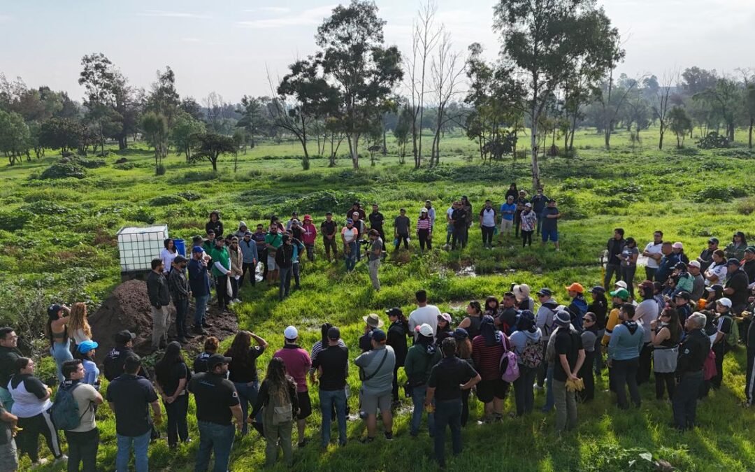 REFORESTACIÓN SIN LÍMITES EN LOS PARQUES TANGAMANGA