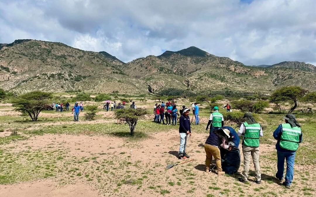 CON 1 MILLÓN DE PLANTAS, ESTADO REFORESTARÁ SIERRA DE SAN MIGUELITO